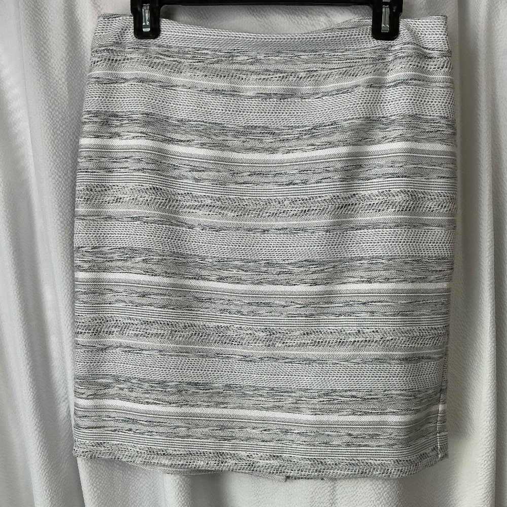 Professional lined skirt